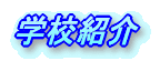 wZs